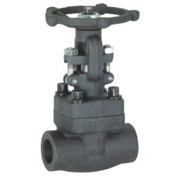 Z61H/Y、Z11H/Y型鍛鋼內(nèi)螺紋、承插焊閘閥