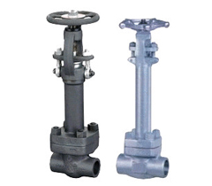 DZ61/41H/X鍛鋼低(dī)溫閘閥