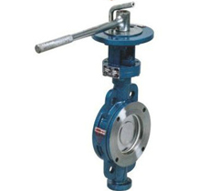 D73H對(duì)夾式硬密封蝶閥